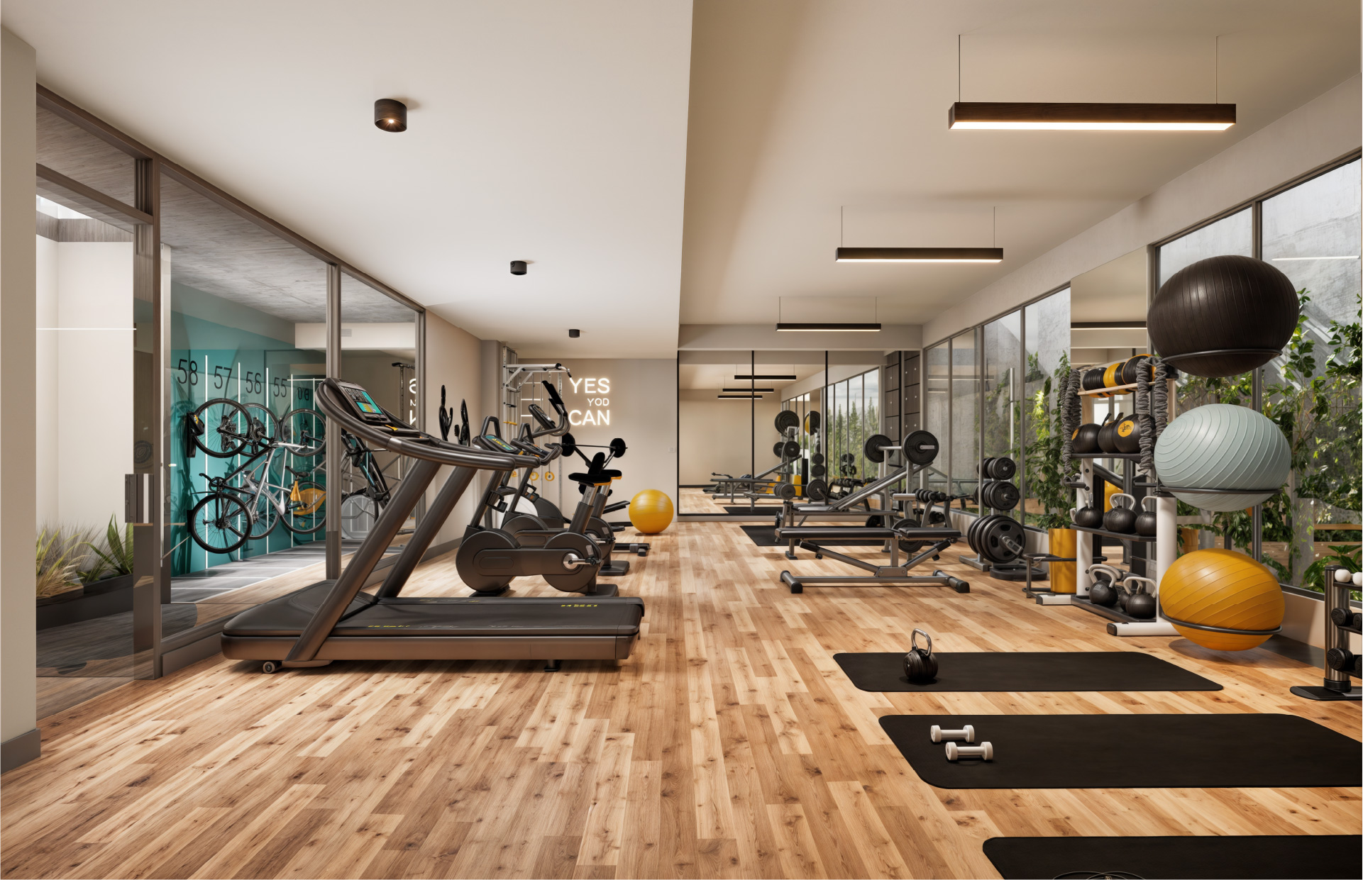 Gym